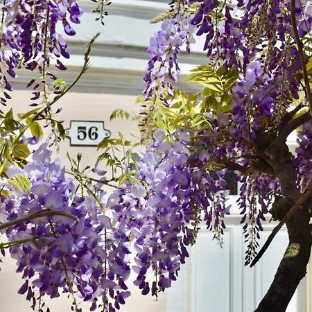 Wisteria Panzió Fontainebleau Kültér fotó