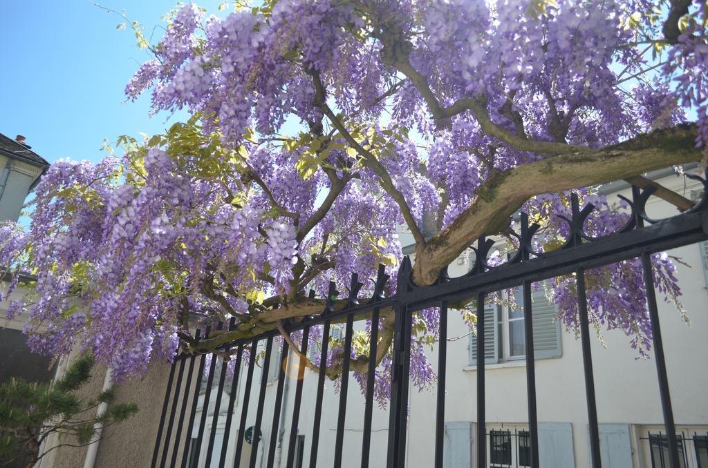 Wisteria Panzió Fontainebleau Kültér fotó