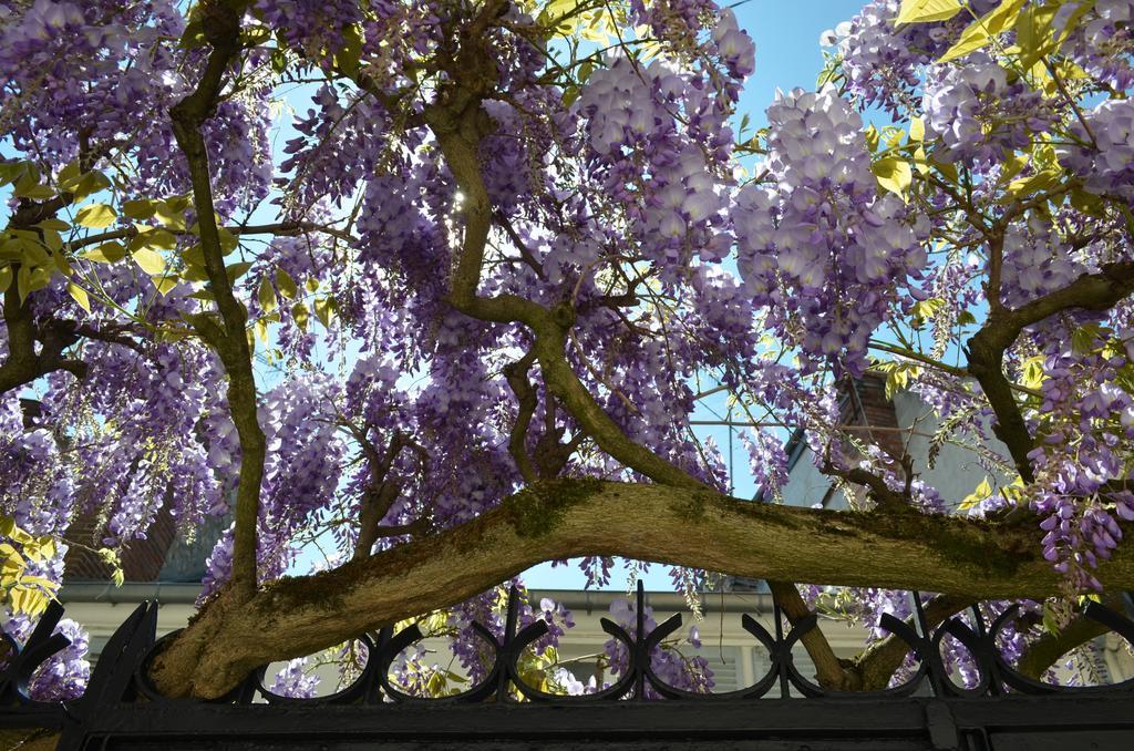 Wisteria Panzió Fontainebleau Kültér fotó