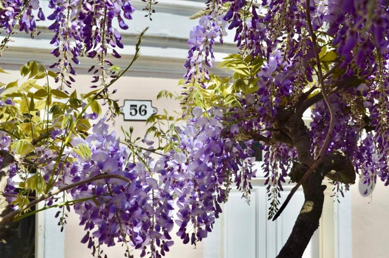 Wisteria Panzió Fontainebleau Kültér fotó