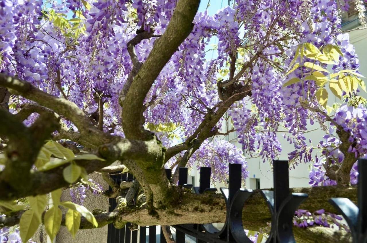 Wisteria Panzió Fontainebleau Kültér fotó