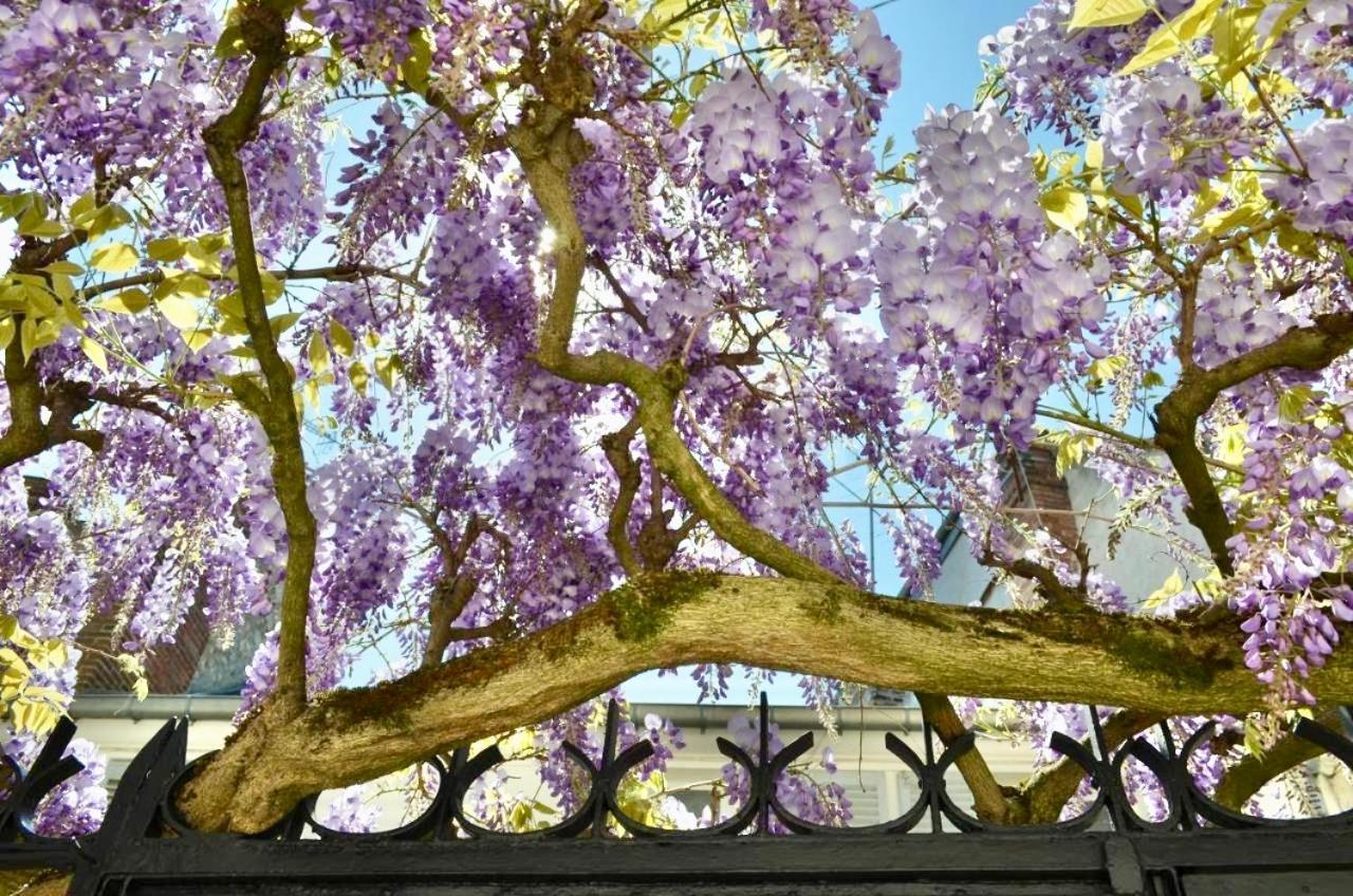 Wisteria Panzió Fontainebleau Kültér fotó