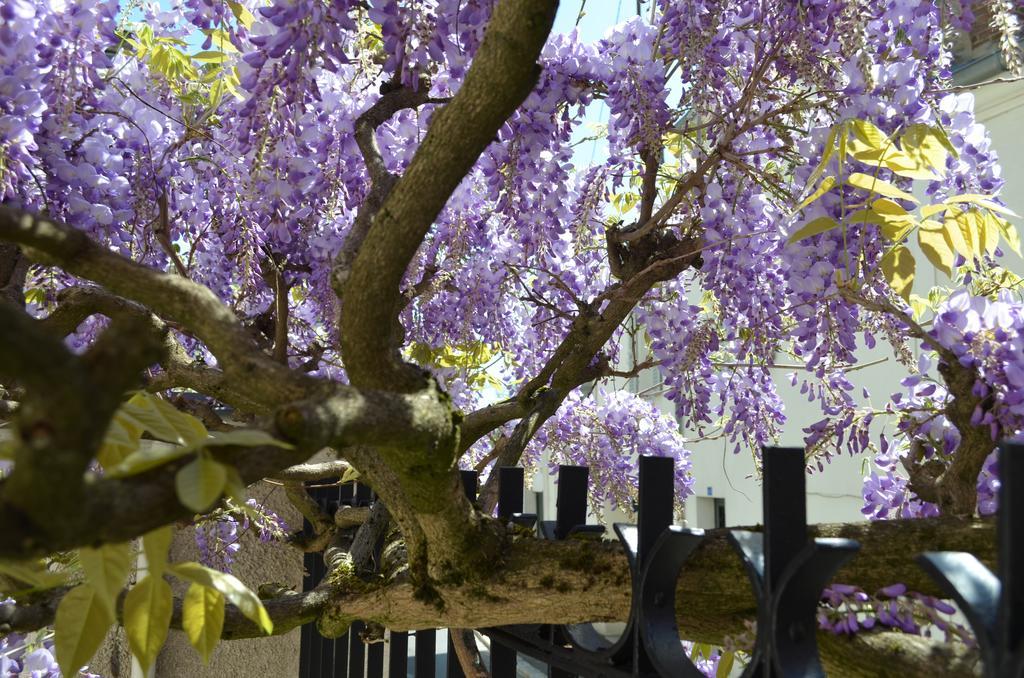 Wisteria Panzió Fontainebleau Kültér fotó