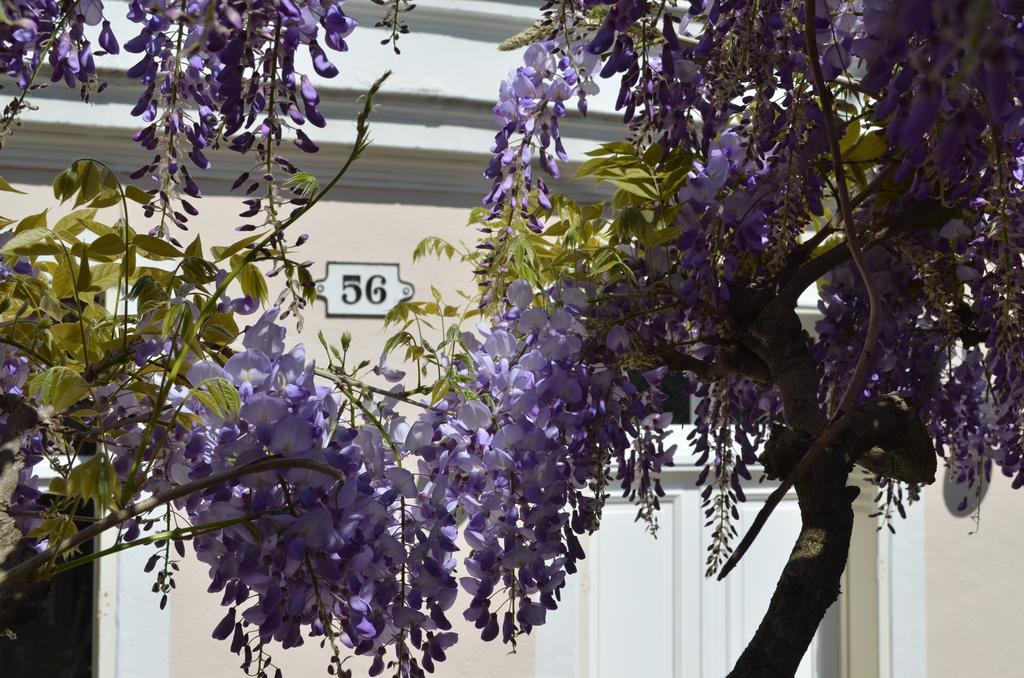 Wisteria Panzió Fontainebleau Kültér fotó